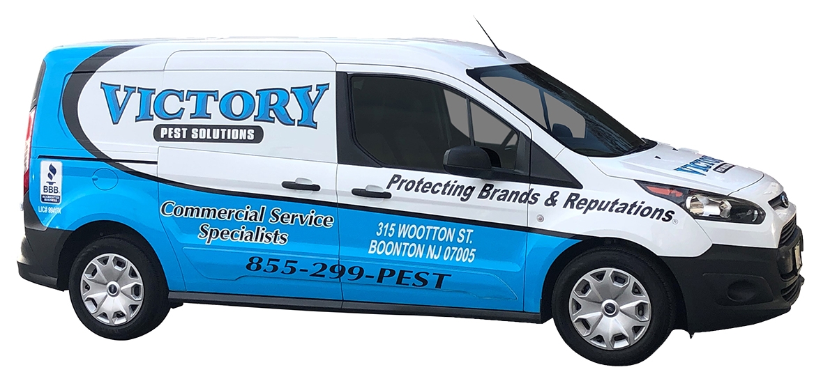 Victory Pest Solutions truck