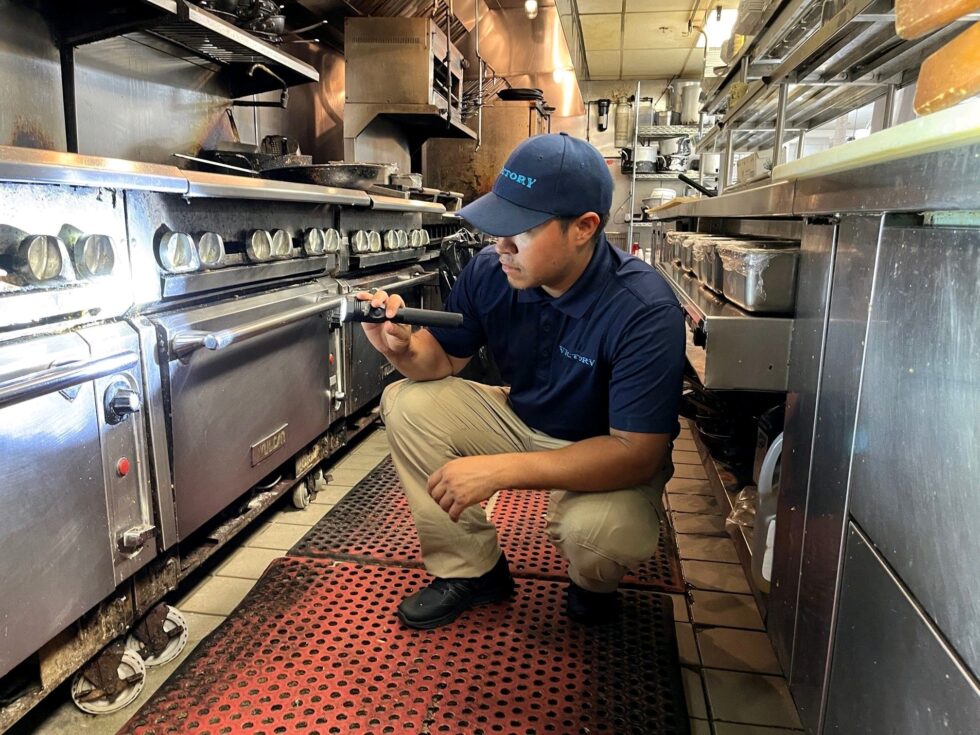 New York City Pest Control Services Victory Pest Solutions